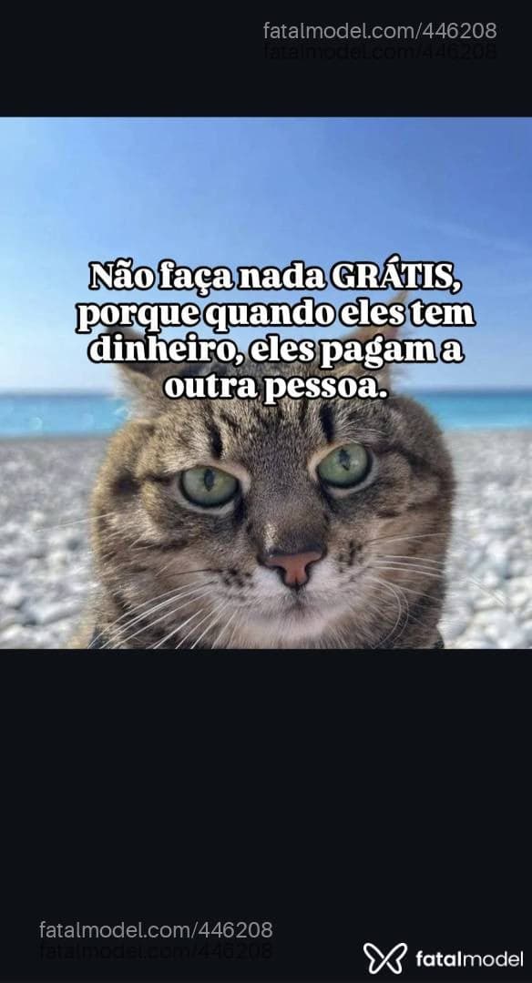 Liara Lemos — foto 3