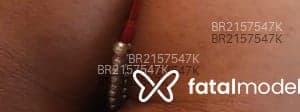 Bruna